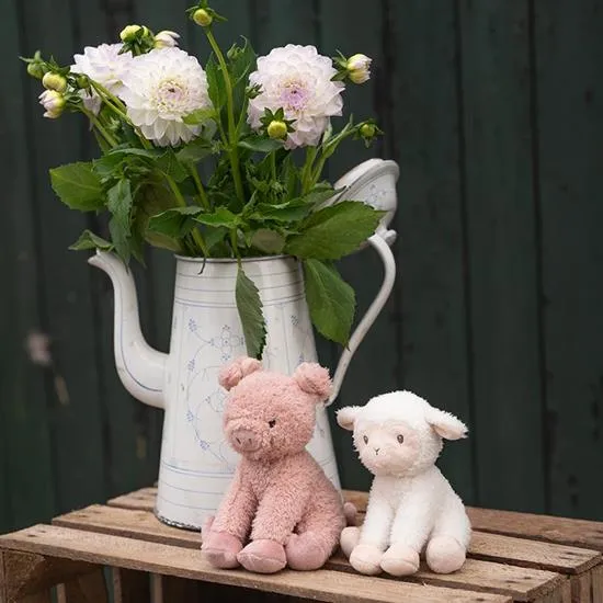 Cuddle Pig - Little Dutch