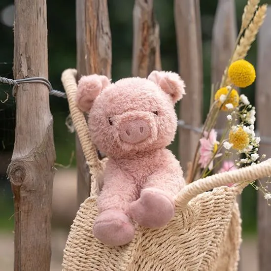 Cuddle Pig - Little Dutch