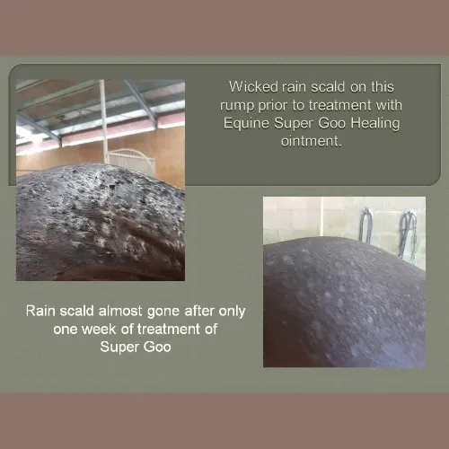 Equine Super Goo - The Original Topical Cream
