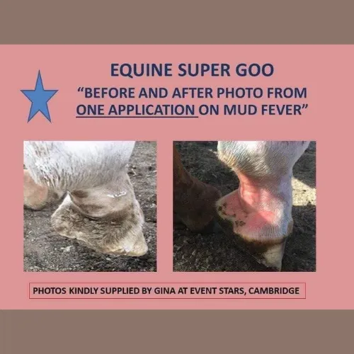 Equine Super Goo - The Original Topical Cream