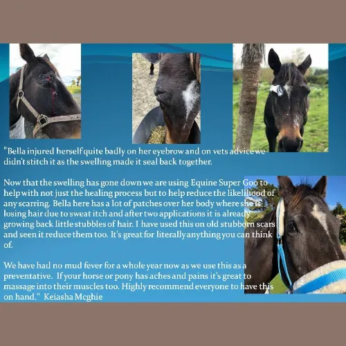 Equine Super Goo - The Original Topical Cream