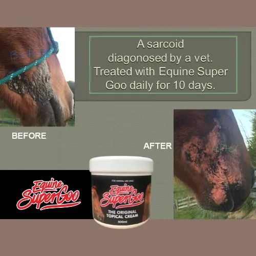 Equine Super Goo - The Original Topical Cream