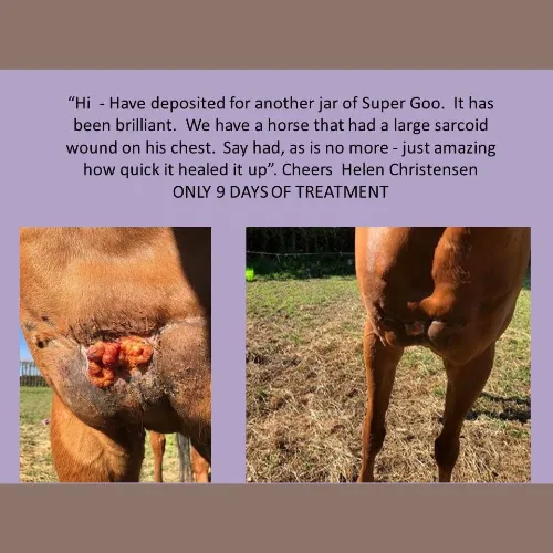 Equine Super Goo - The Original Topical Cream
