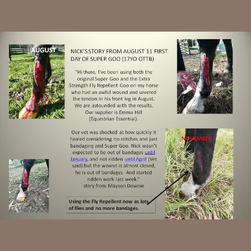 Equine Super Goo - The Original Topical Cream