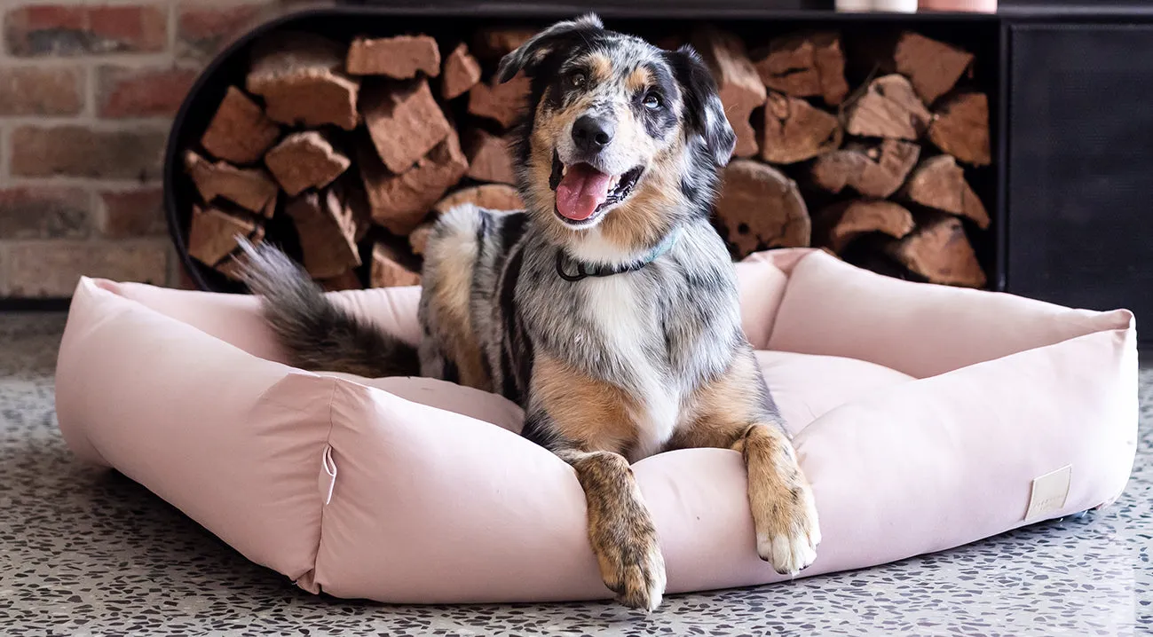 FuzzYard Life Cotton Bed - Soft Blush