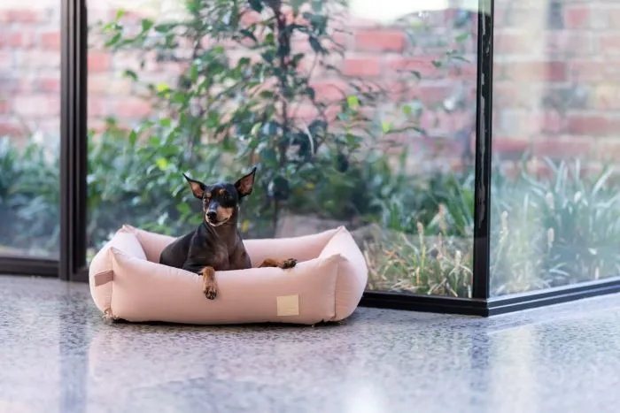 FuzzYard Life Cotton Bed - Soft Blush