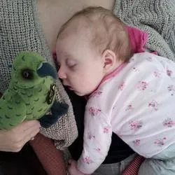 Kea Bird Soft Toy with authentic sound