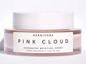 Pink Cloud Soft Moisture Cream