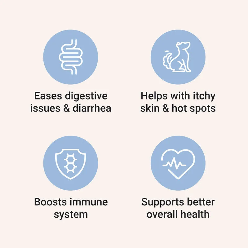 Probiotic Wellness Soft Chews | Dog