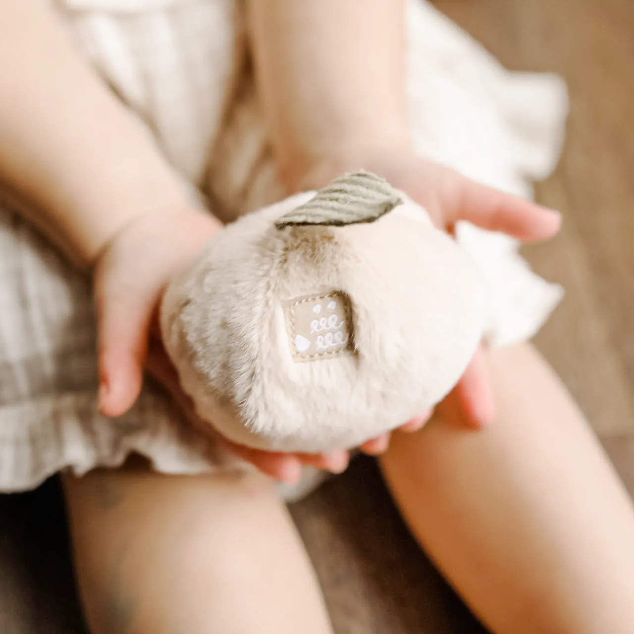 Soft Peach Counting Set
