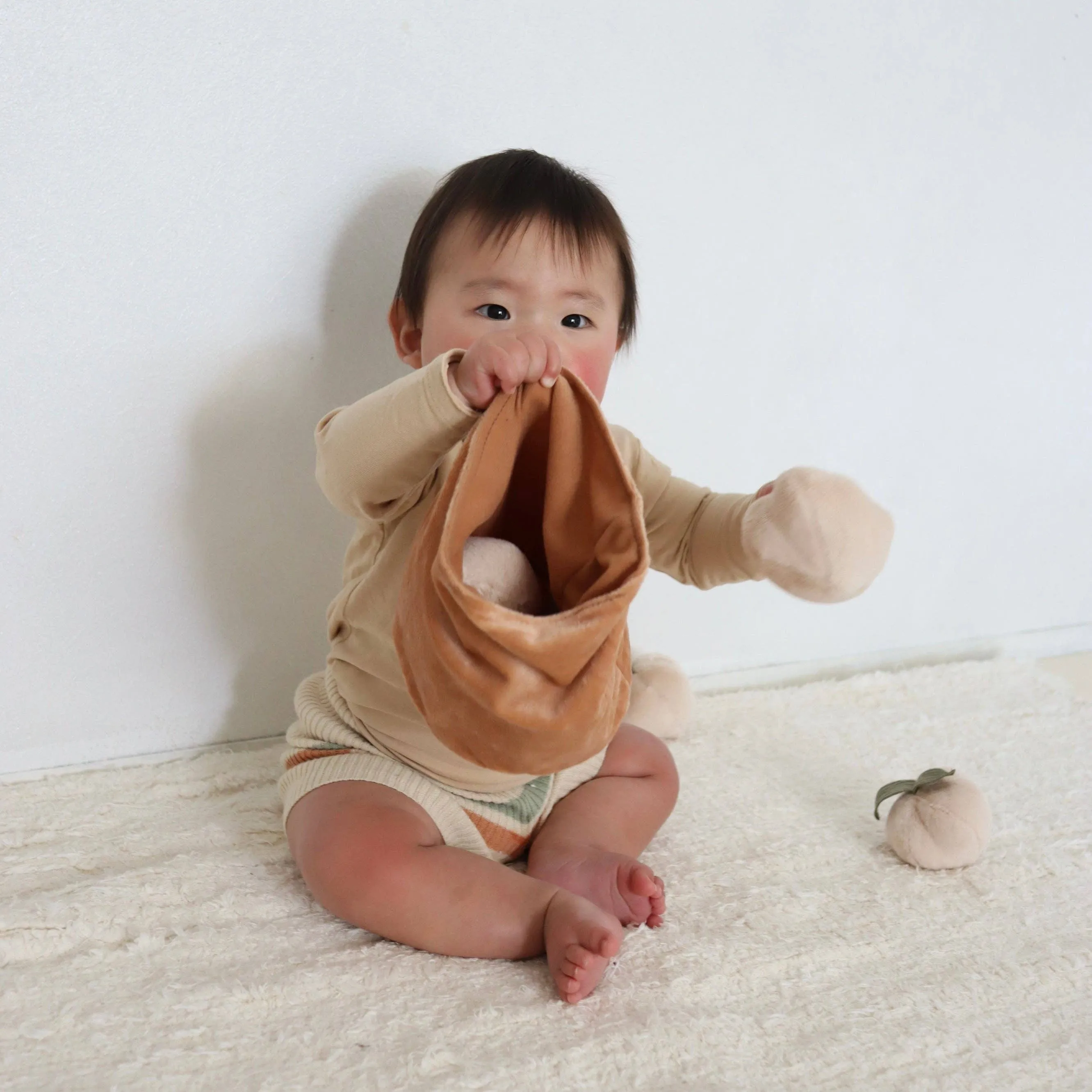 Soft Peach Counting Set