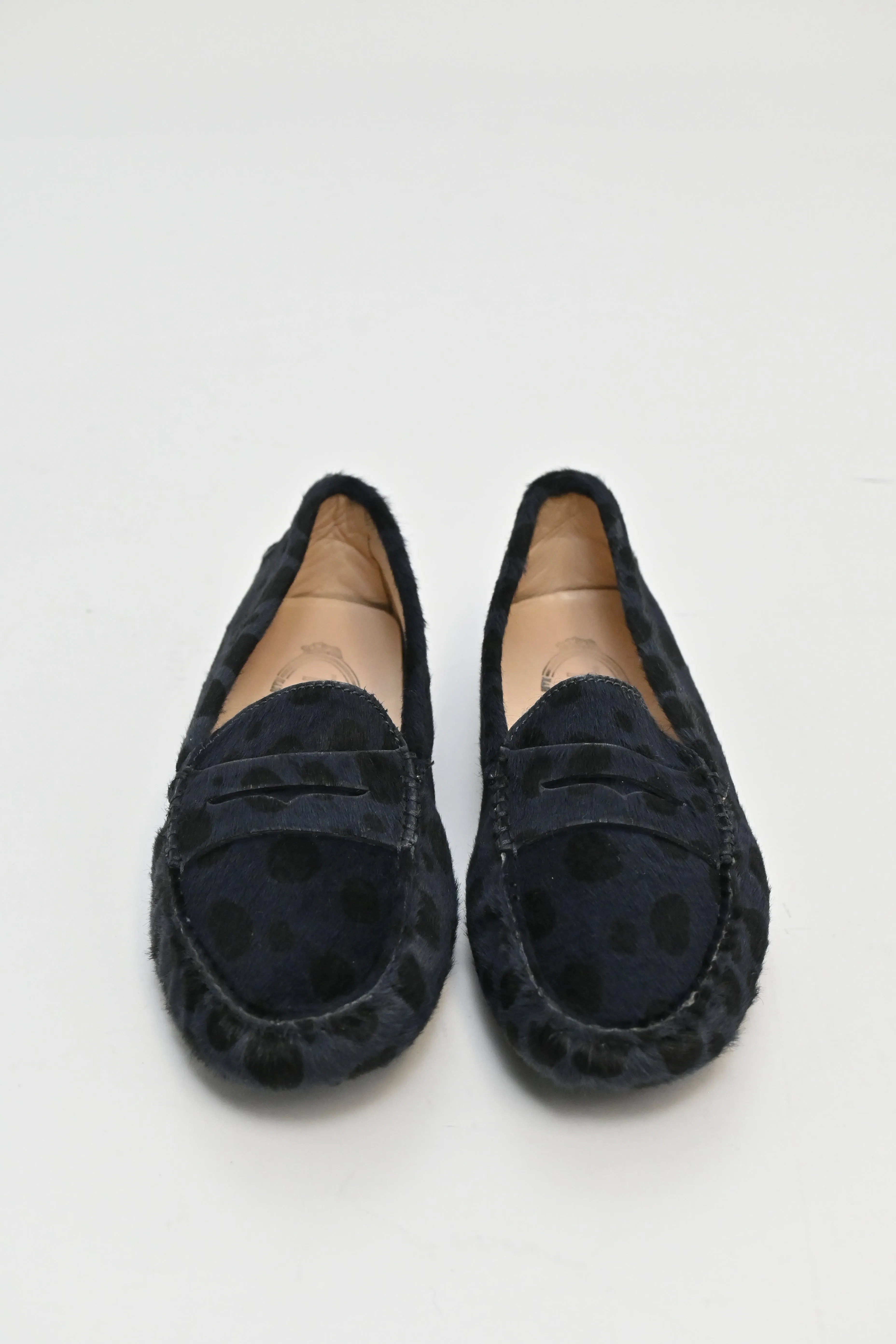[WS6846] Tod's | Slip-ons